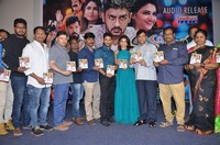 Manasainodu Movie Audio Launch